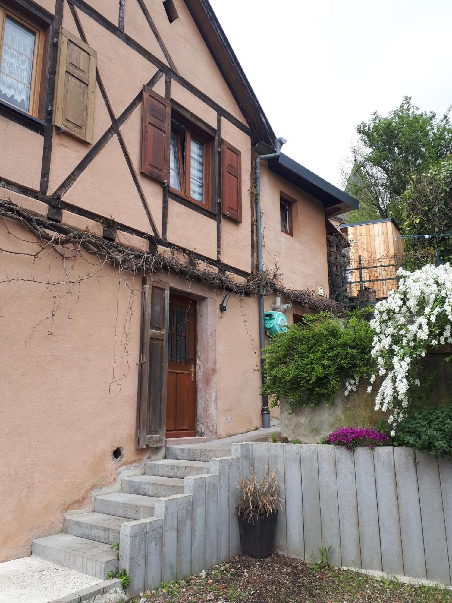 Appartement Aux Jardins D'Argiles à Buhl Extérieur photo