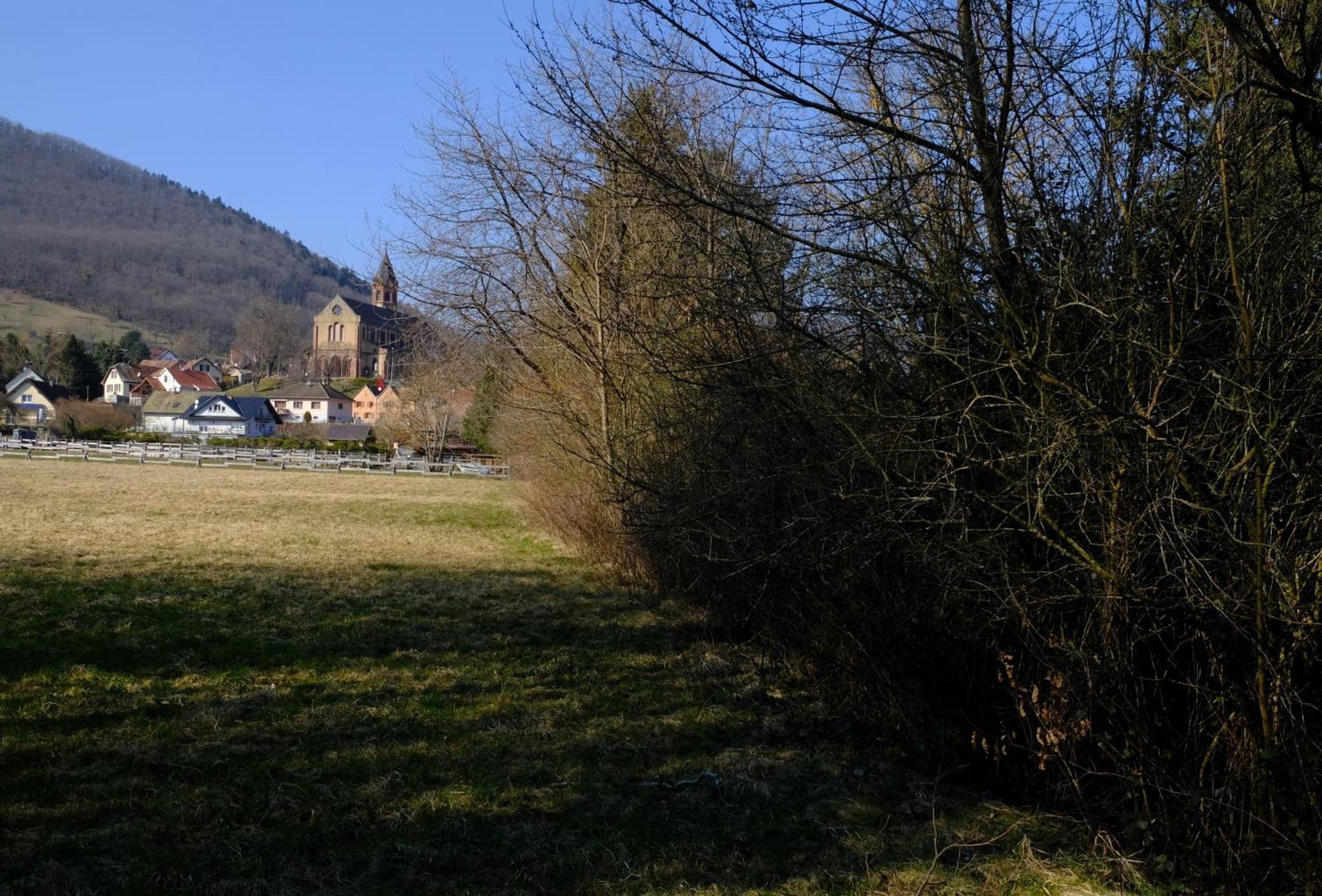 Appartement Aux Jardins D'Argiles à Buhl Extérieur photo